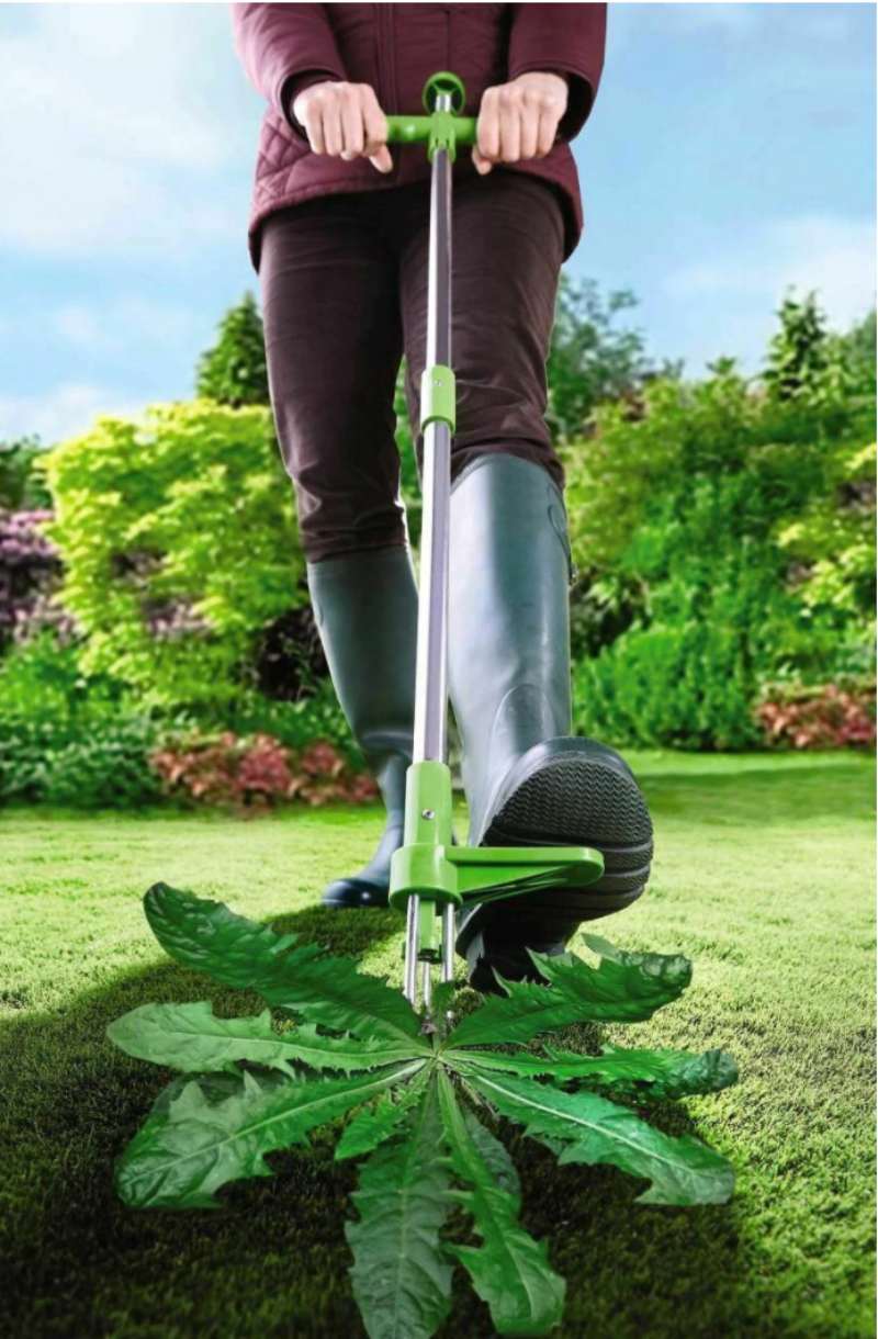 "Désherbeur manuel ergonomique, dents robustes, manche long, pour éliminer les mauvaises herbes sans effort dans le jardin."